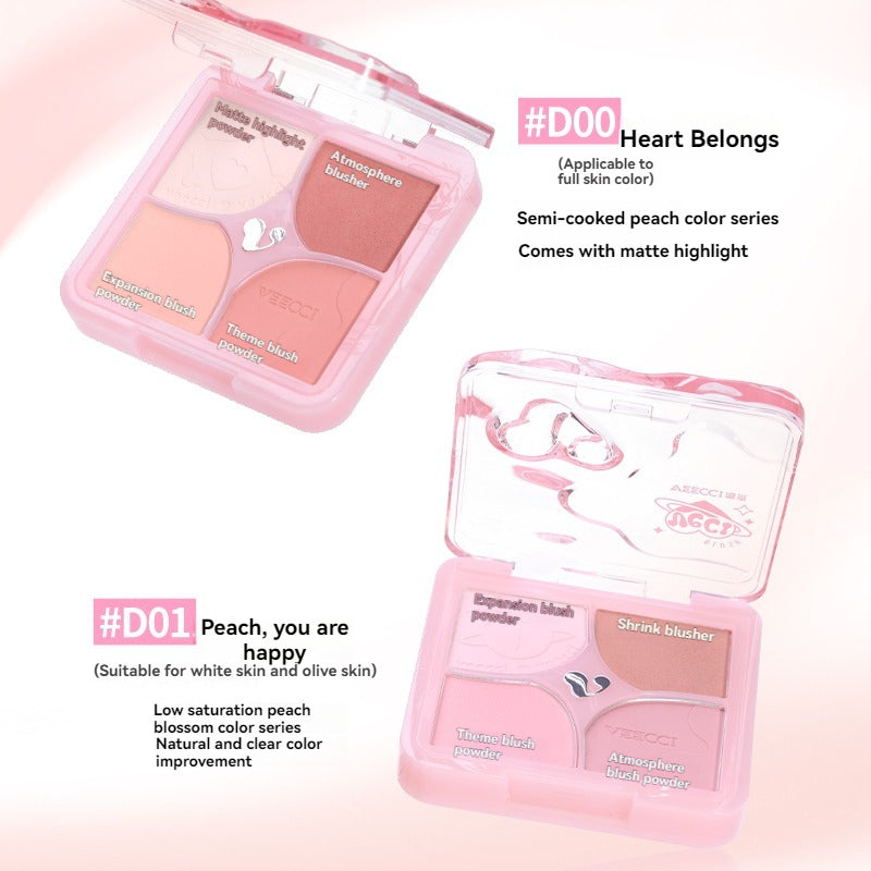 VEECCI Powder Blusher Highlight 4 in 1 Cream Matte Multi Purpose (6g)