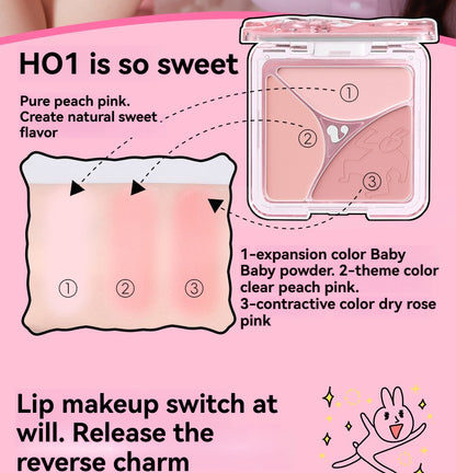 VEECCI Friend Rabbit gift box