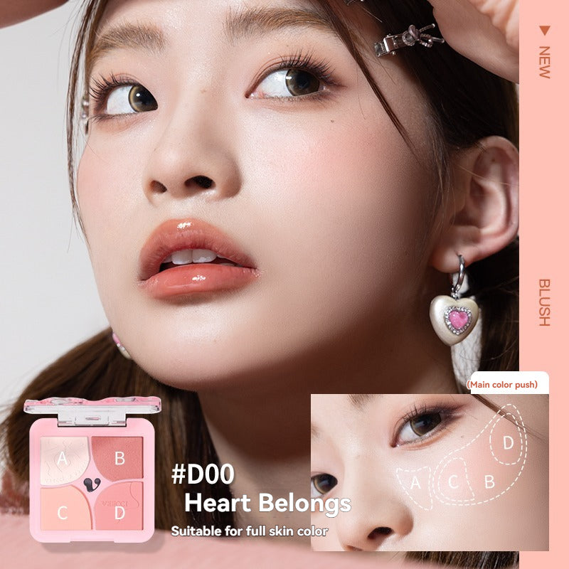 VEECCI Powder Blusher Highlight 4 in 1 Cream Matte Multi Purpose (6g)
