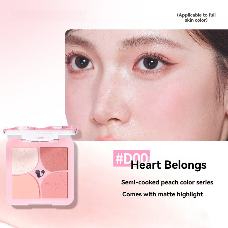 VEECCI Powder Blusher Highlight 4 in 1 Cream Matte Multi Purpose (6g)