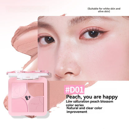 VEECCI Powder Blusher Highlight 4 in 1 Cream Matte Multi Purpose (6g)